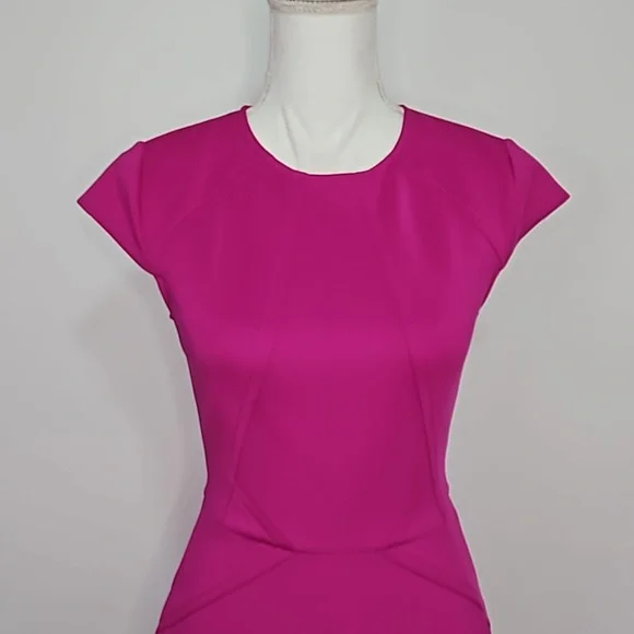 Ted Baker Magenta Scuba Fit And Flare Dress 1/US 4 - Picture 3 of 7